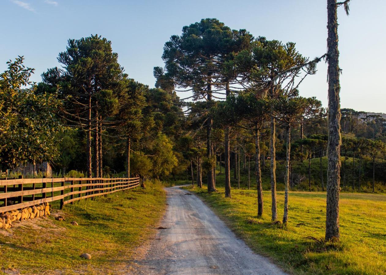 Hospedagem Rural Recanto Do Riacho Urubici Exteriér fotografie