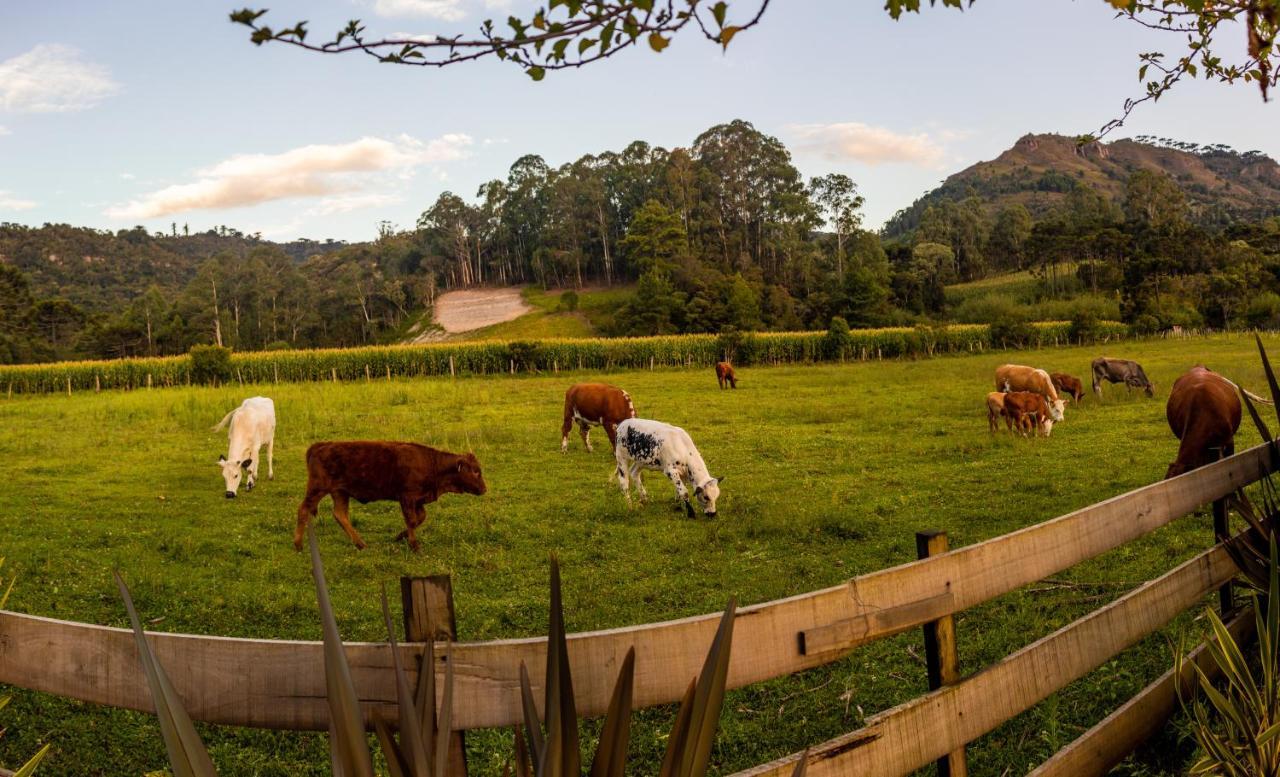 Hospedagem Rural Recanto Do Riacho Urubici Exteriér fotografie