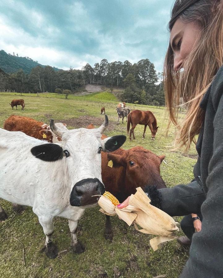 Hospedagem Rural Recanto Do Riacho Urubici Exteriér fotografie